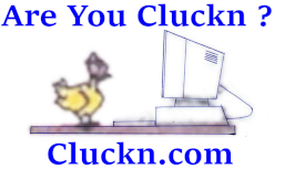 Cluckn.com